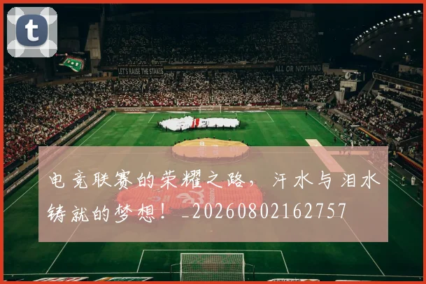 电竞联赛的荣耀之路，汗水与泪水铸就的梦想！_20260802162757